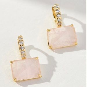 Anthropologie stone huggie hoop earring